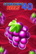 Scorching Reels 40